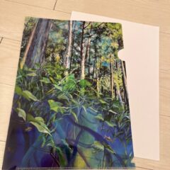 繋がる〜夏　クリアファイル